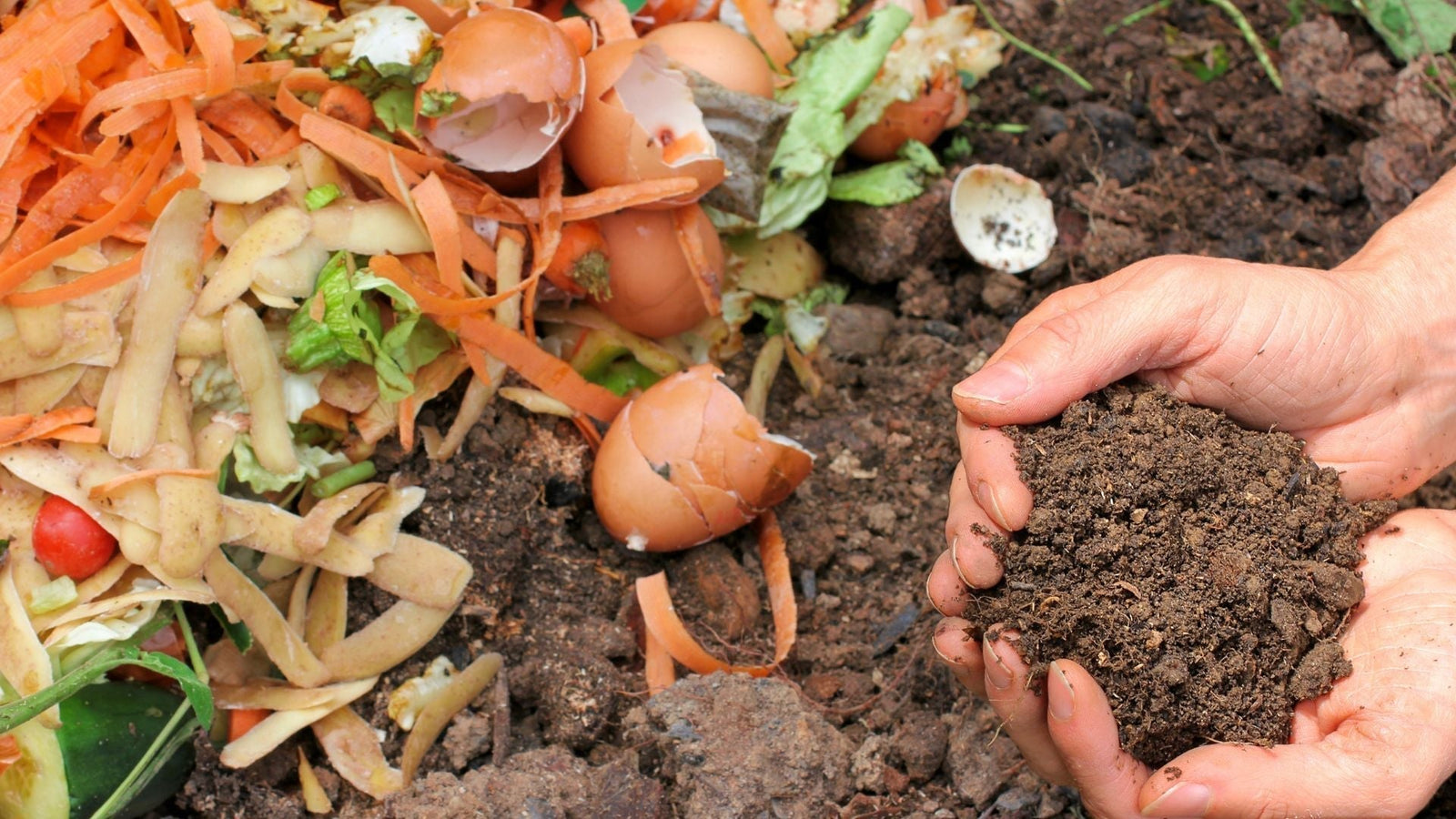 A Beginner's Guide to Composting
