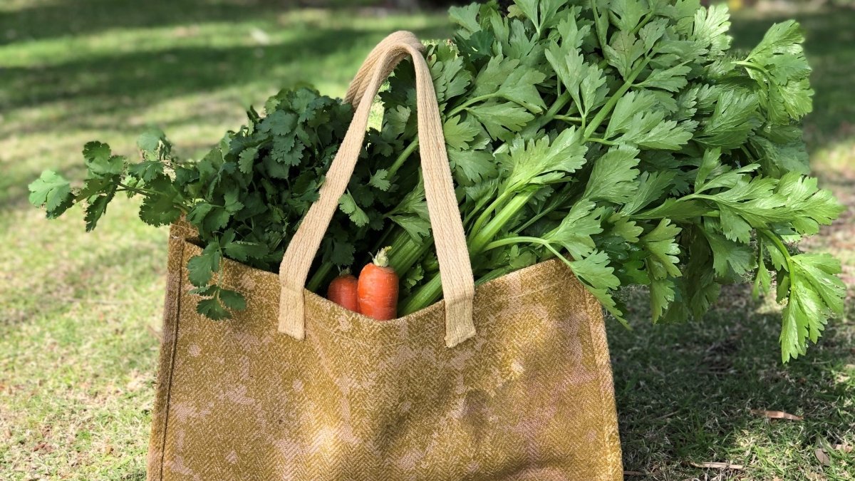 4 Steps To Shop For Groceries Without Single-Use Plastic - Urban Revolution
