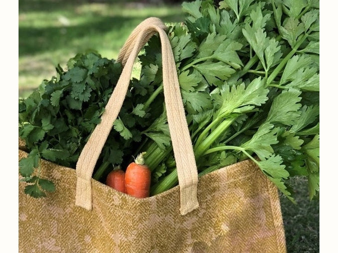 4 Steps To Shop For Groceries Without Single-Use Plastic - Urban Revolution