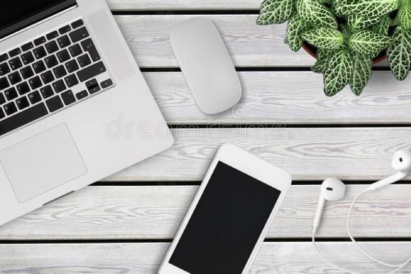 Computer on desk with phone and plant