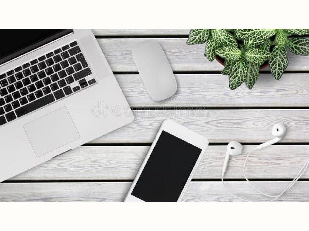 Computer on desk with phone and plant