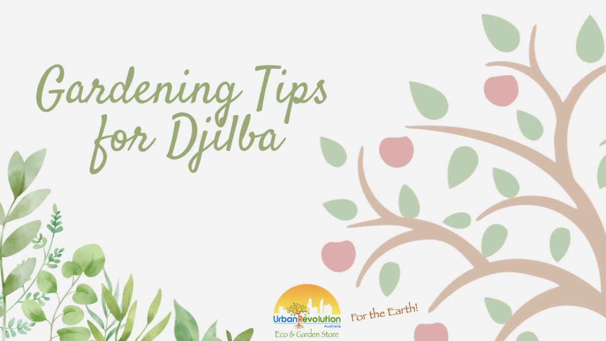 Gardening tips for Djilba graphic