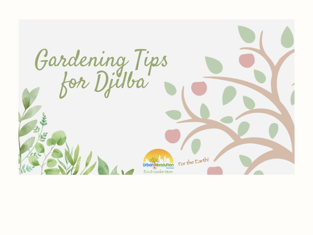 Gardening tips for Djilba graphic