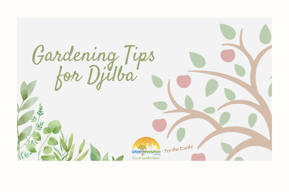 Gardening tips for Djilba graphic