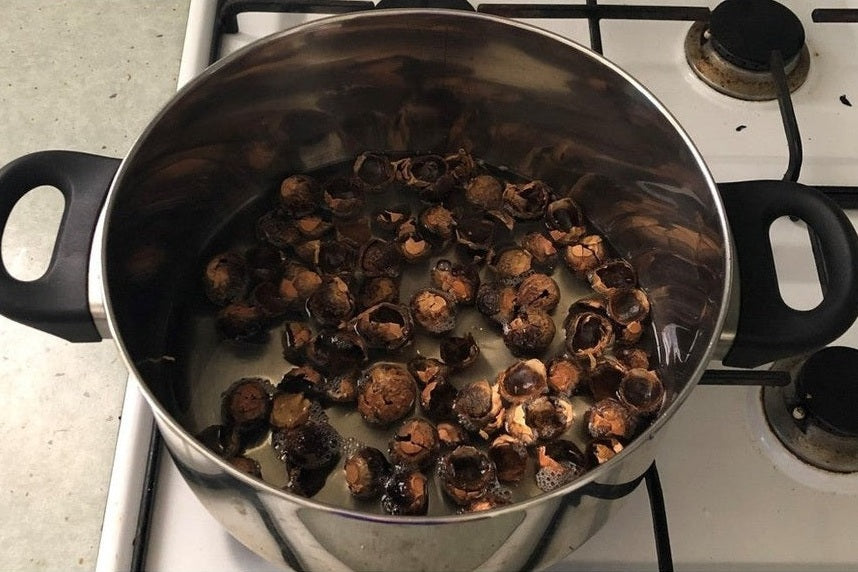 How To Make A Multi-Purpose Cleaner and Liquid Hand Soap From Soap Berries - Urban Revolution