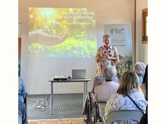 Sophie Thomson presents a talk