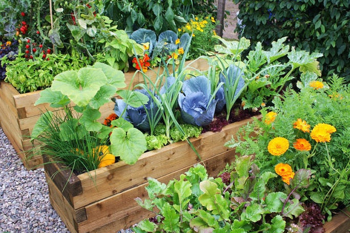 🌿 Winter Gardening Jobs: 9 Ways to Nurture Your Garden In Makuru