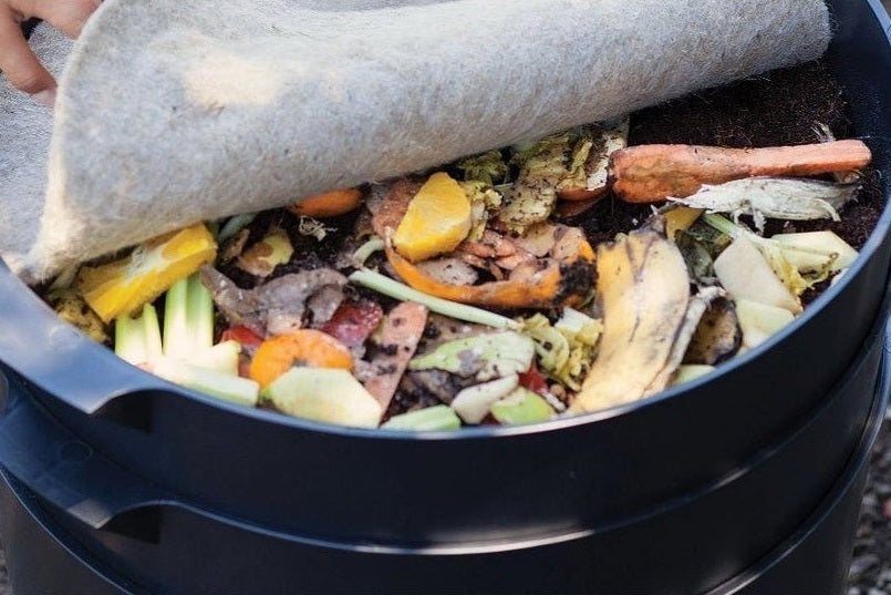 Food scraps under a compost blanket