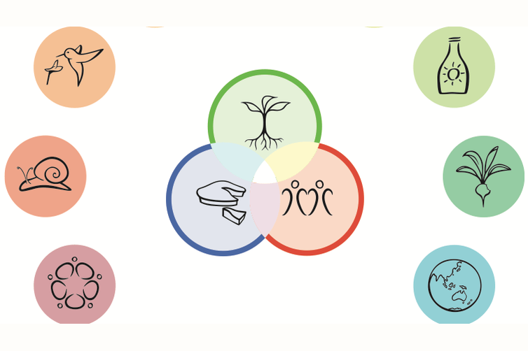 Permaculture ethics and design principles