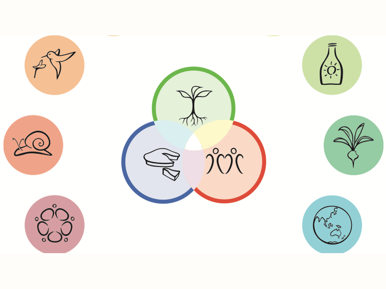 Permaculture ethics and design principles