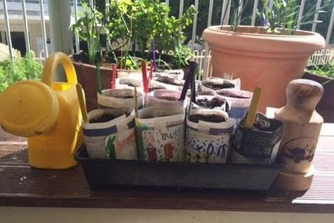 How to Make Newspaper Pots - Urban Revolution