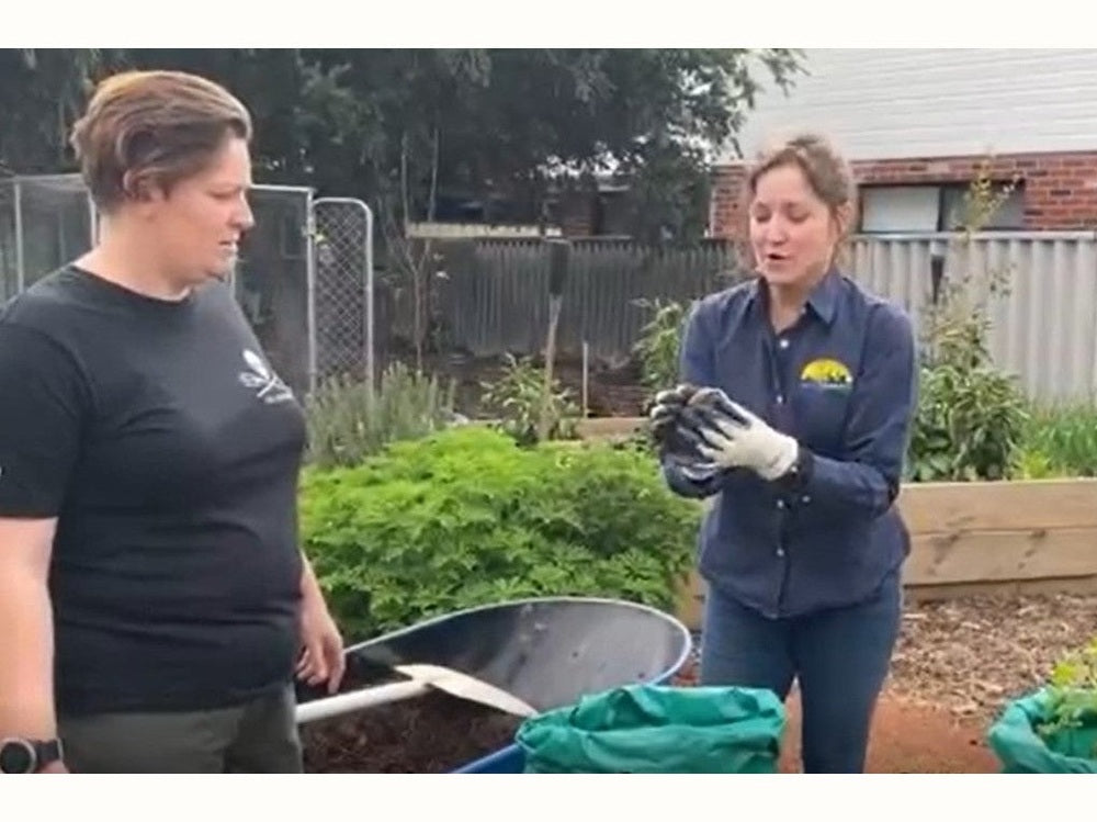 The Fail-Safe Way To Grow Potatoes (Growing Potatoes In Bags) - Urban Revolution