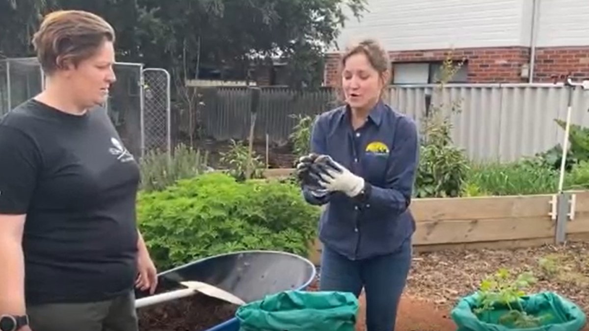 The Fail-Safe Way To Grow Potatoes (Growing Potatoes In Bags) - Urban Revolution