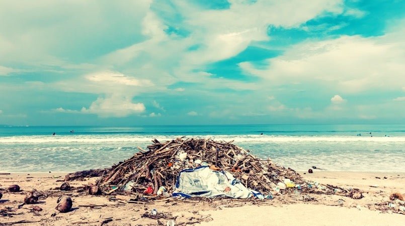 Plastic pollution on a beach