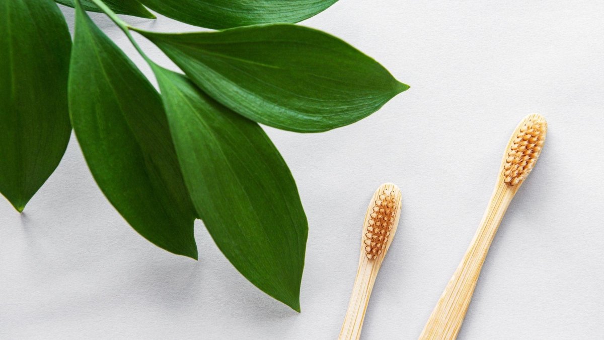 two bamboo toothbrushes laid on bench with leafy plant