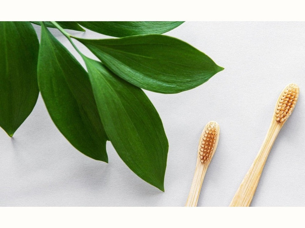 two bamboo toothbrushes laid on bench with leafy plant