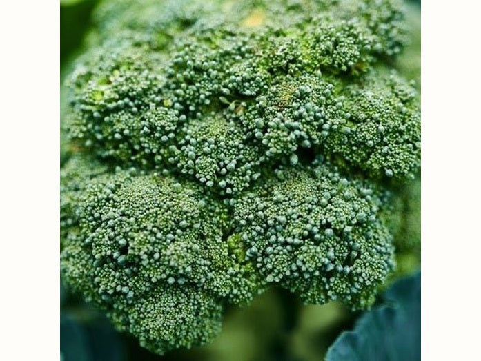 broccoli head close up