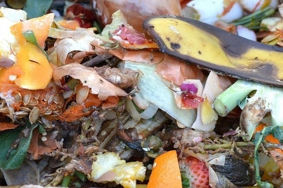 food scraps in compost