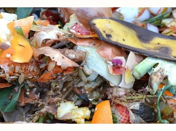 food scraps in compost