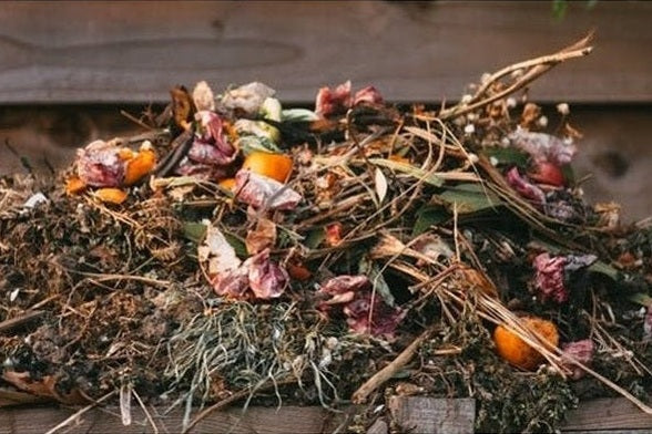 Compost pile
