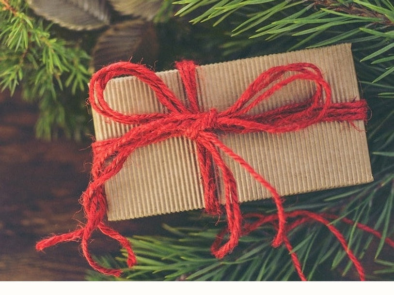 Eco christmas gift