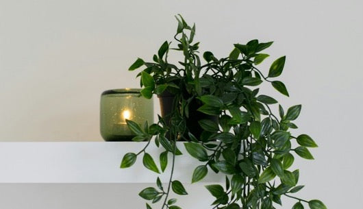 candle with plant on shelf