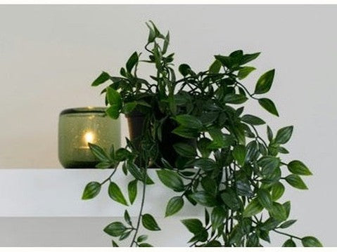 candle with plant on shelf