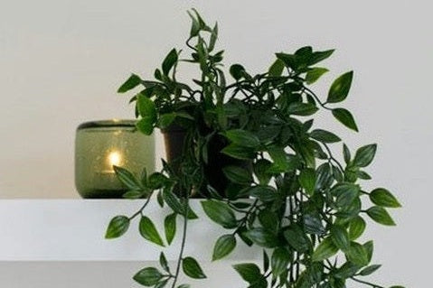 candle with plant on shelf