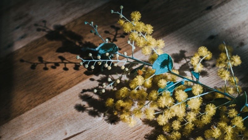 wattle flowers on board