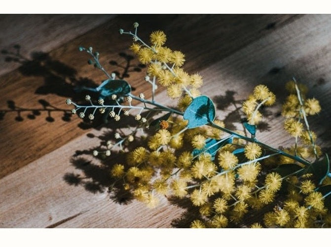 wattle flowers on board