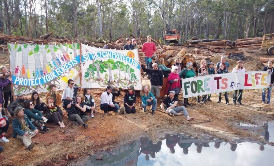 native forest campaigners with banners