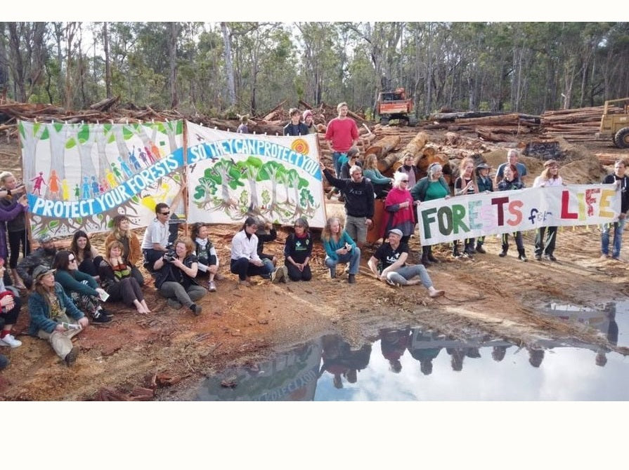 native forest campaigners with banners
