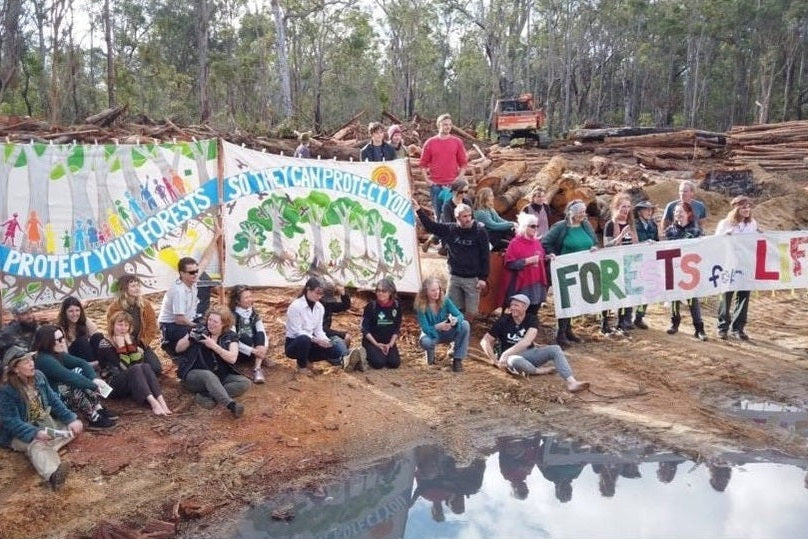 native forest campaigners with banners