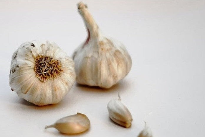Two bulbs of garlic with three loose cloves on a white background