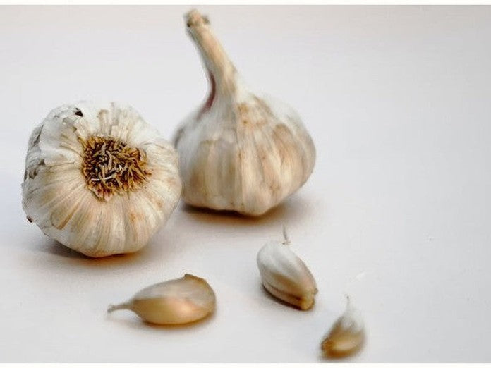 Two bulbs of garlic with three loose cloves on a white background