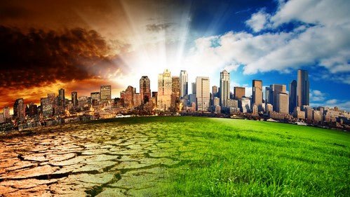 Organic, Biodynamic and Regenerative Agriculture - Urban Revolution