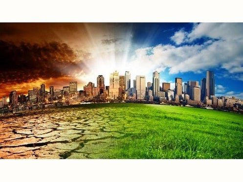 Organic, Biodynamic and Regenerative Agriculture - Urban Revolution