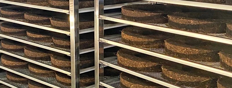 Treerings on shelf in factory