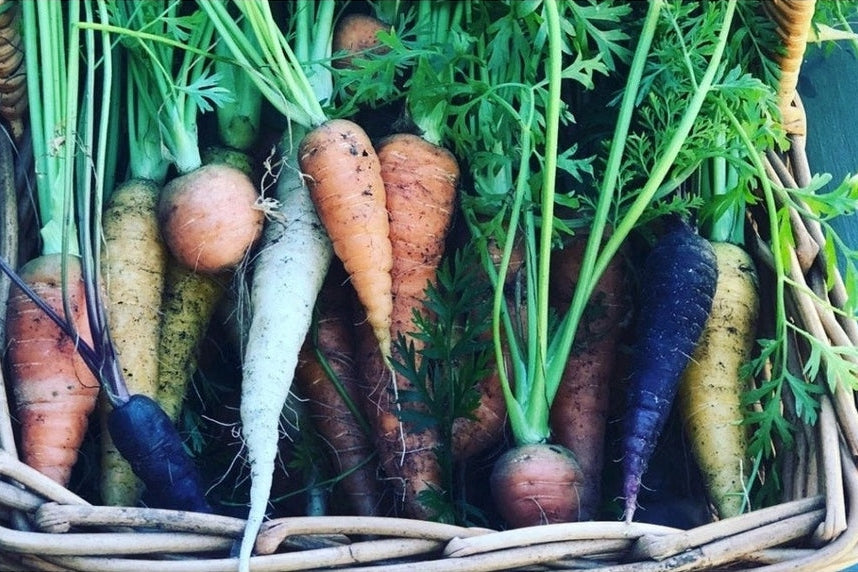 Veggies in basket