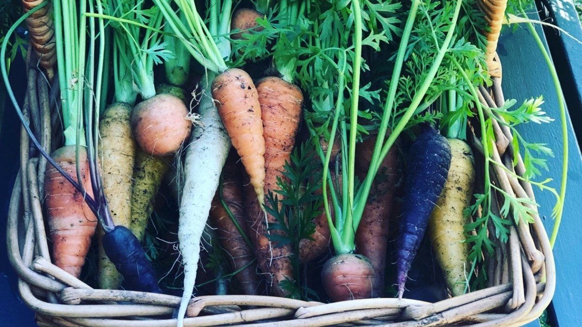 Veggies in basket