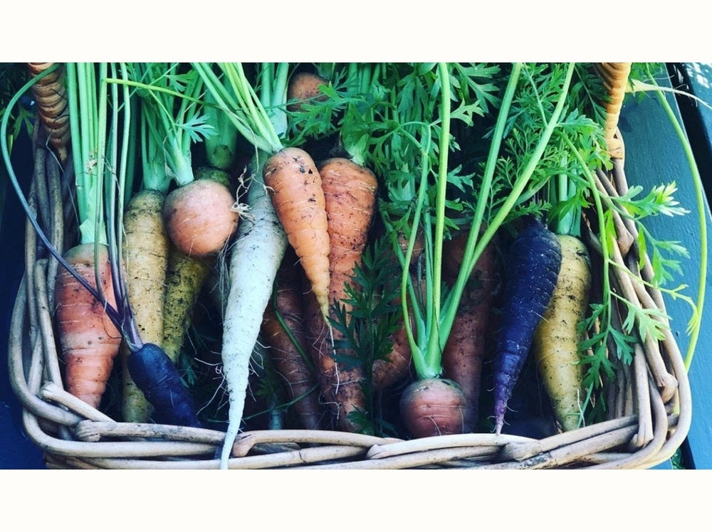 Veggies in basket