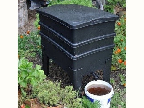 Seven Tips for a Thriving Summer Worm Farm - Urban Revolution