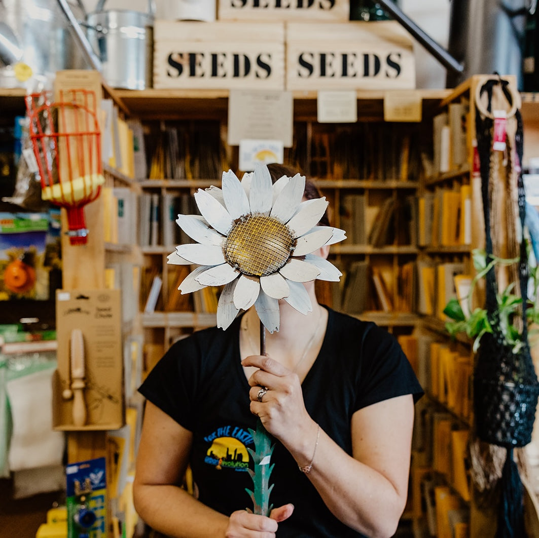 Kits, Bundles and Gift Boxes