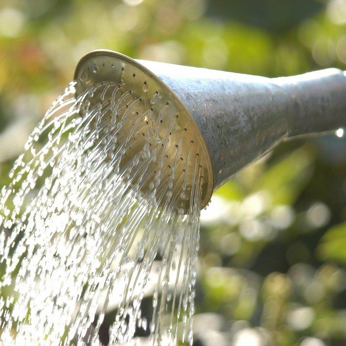 Garden Watering - Urban Revolution Australia