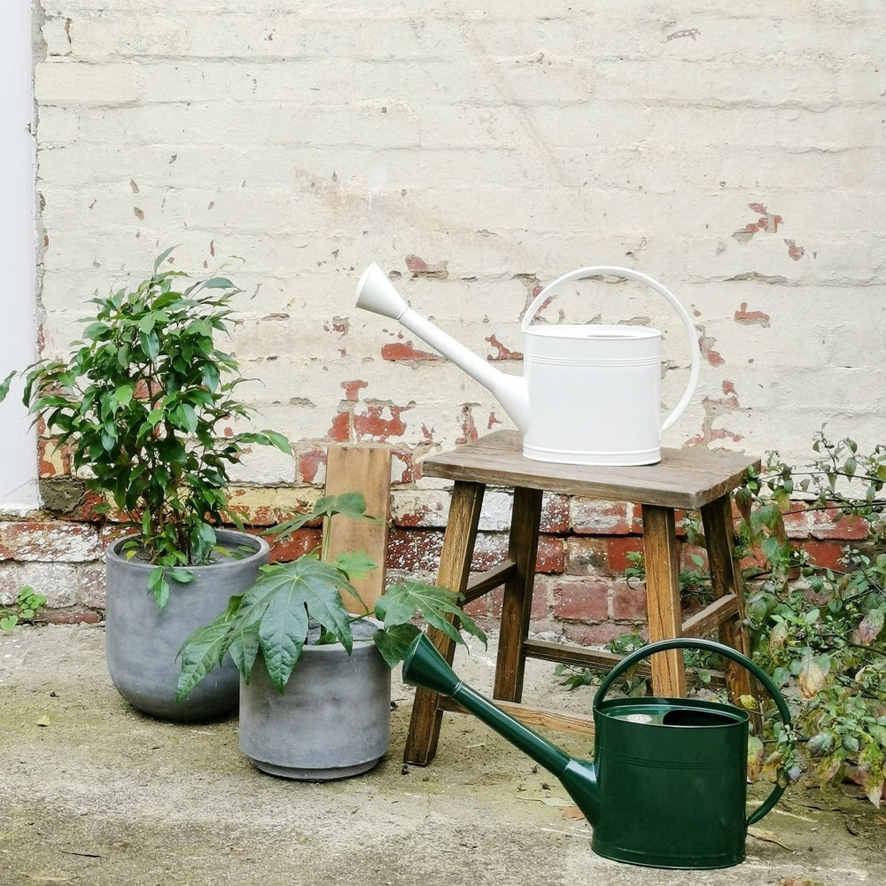 5L Galvanised Steel Waterfall Watering Can with Powder Coated Finish