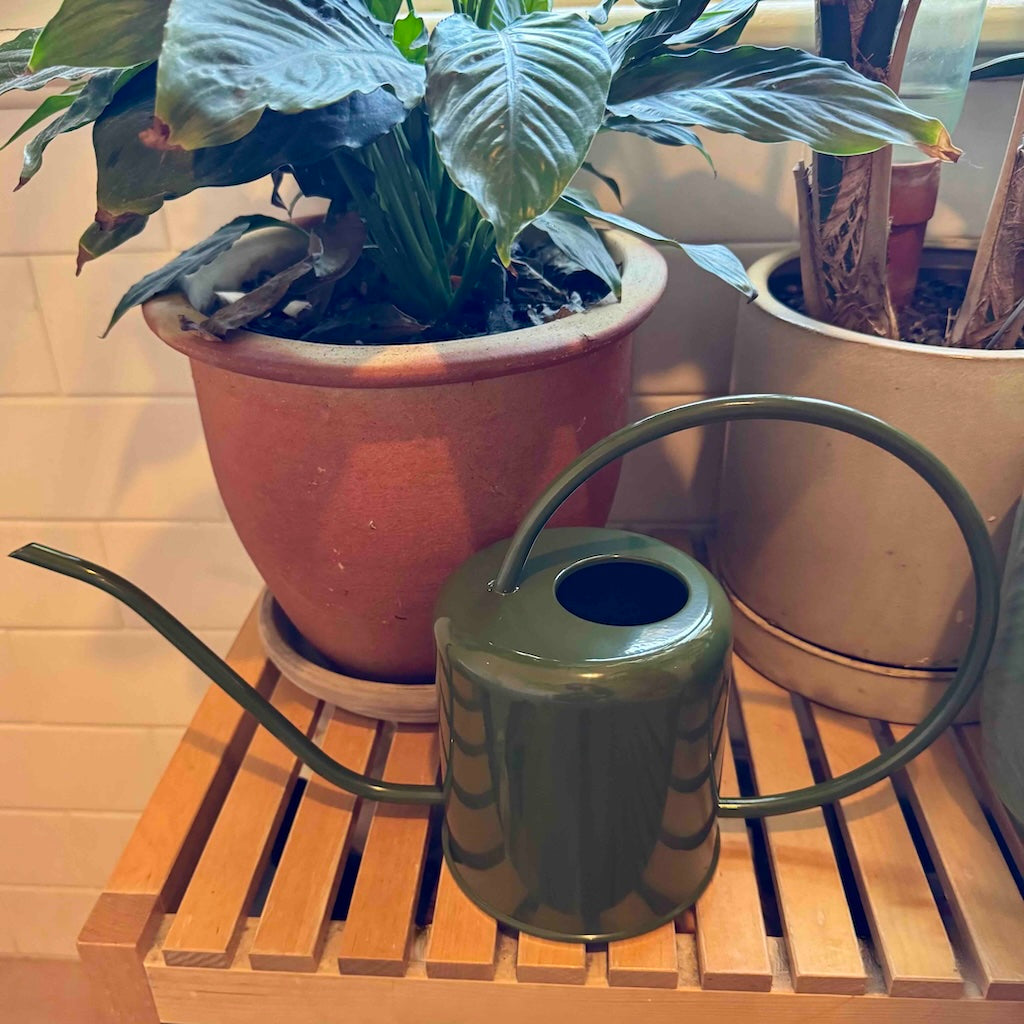 1.5L Spanish Forest Green Metal Watering Can