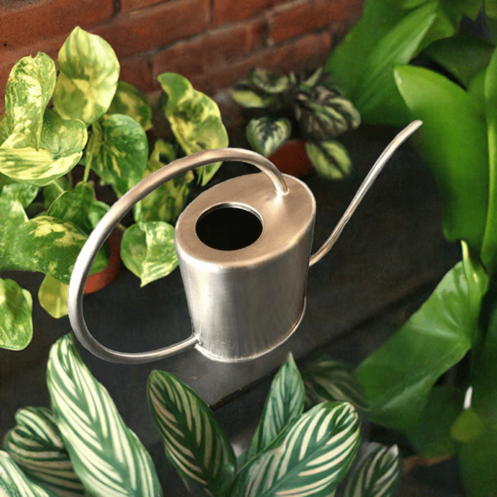 Watering can on a bench with indoor plants