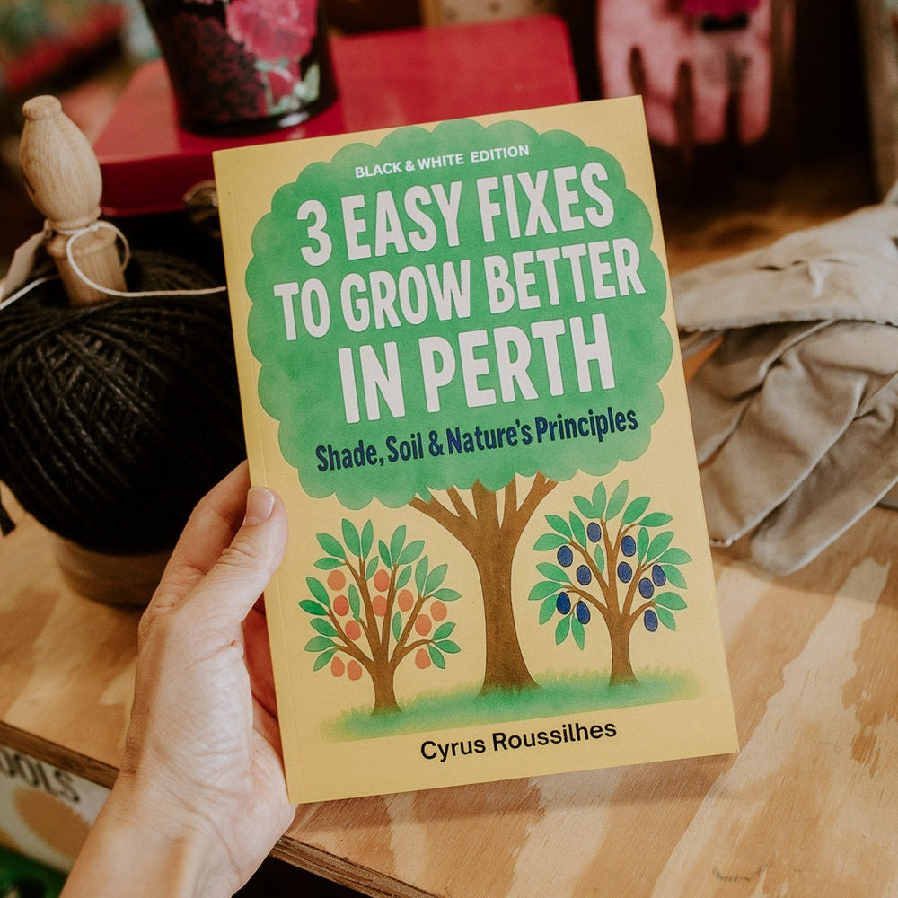 Book titled '3 Easy Fixes to Grow Better in Perth' held by a person on a wooden surface.