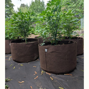 45l plant pot Recycled Plastic Root Pouch Plant Pot - 45L | Urban Revolution