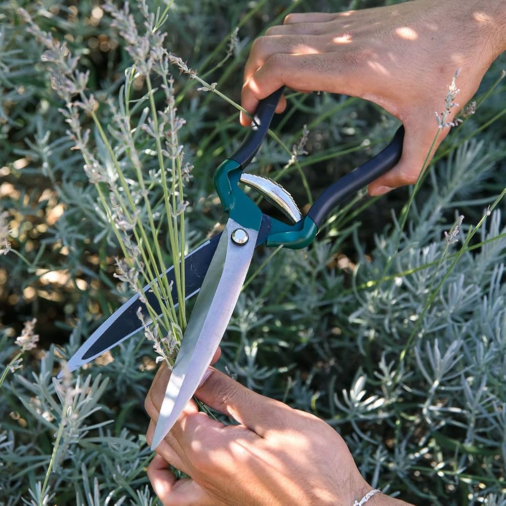 Burgon & Ball - RHS Shrub Shear